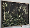 VBS_1798 - Nuovo Museo delle Gallerie d'Italia_Intesa San Paolo_a_Torino